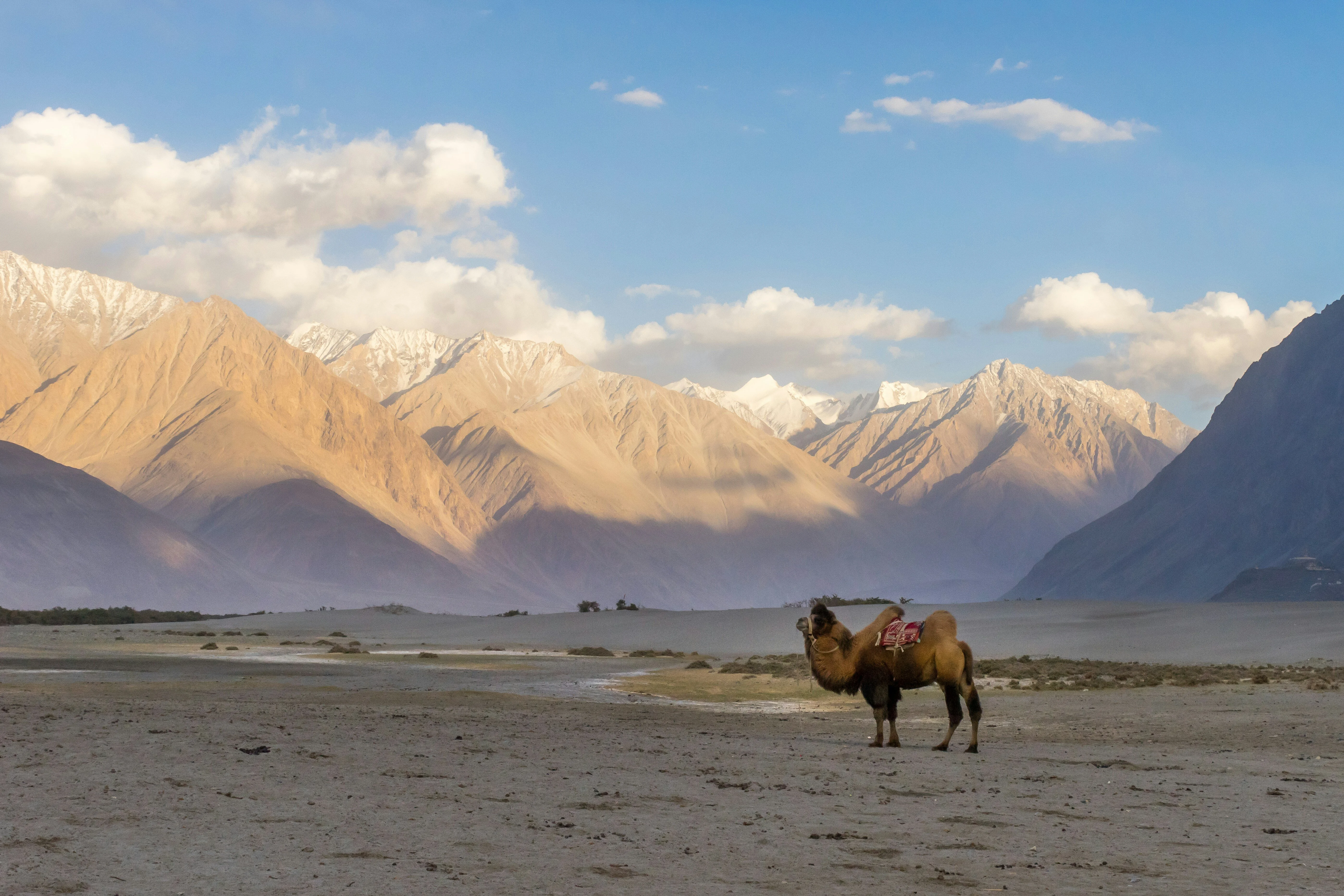 50 Best Places to visit in Ladakh