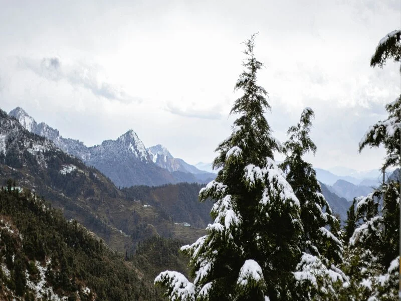 Dhanaulti Tour Package From Delhi