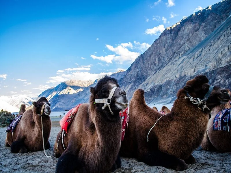 Leh Ladakh Tour Packages From Bangalore