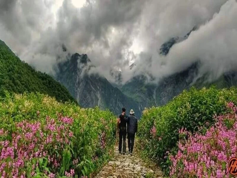 Valley of Flowers Holiday Package From Delhi