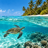 Lakshadweep Tour package for couple
