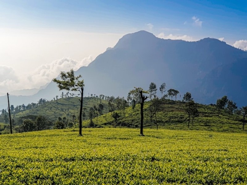 Ooty tour package from Bangalore