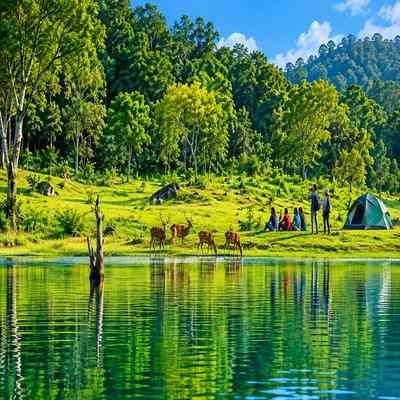 Thekkady tour package
