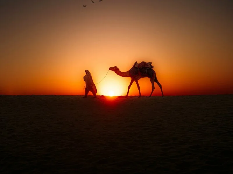 Exotic Rajasthan Tour From Delhi