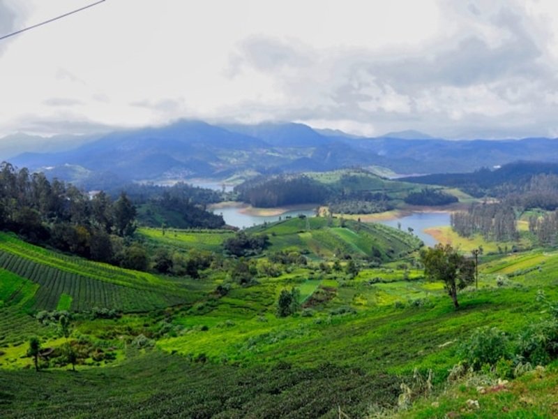 Ooty and Kodaikanal tour package