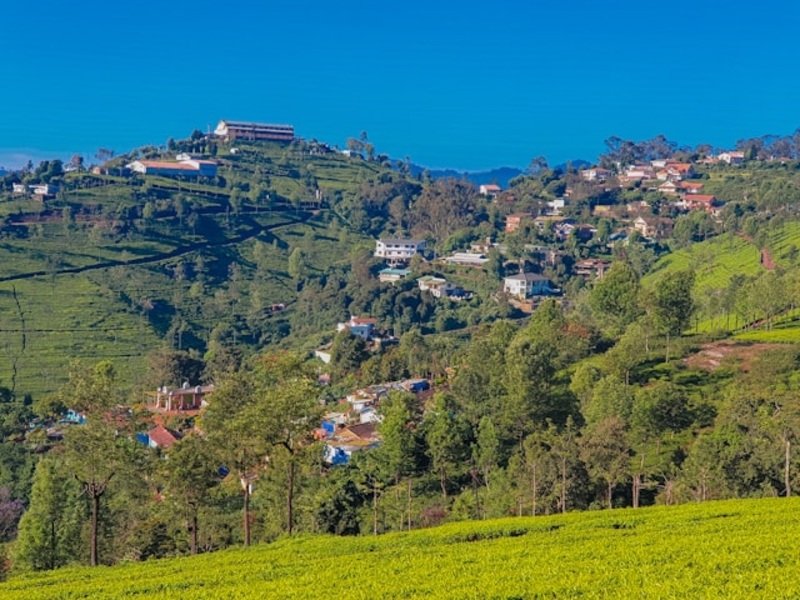 Hyderabad to Ooty tour package