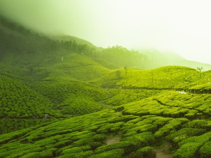 Ooty tour package