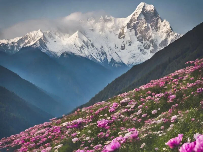 Valley of Flowers Tour Package From Haridwar
