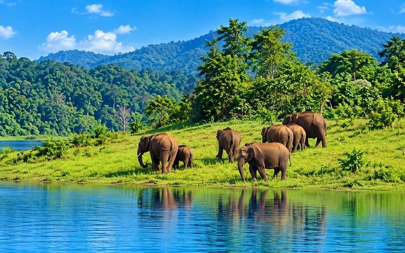 Thekkady tour package