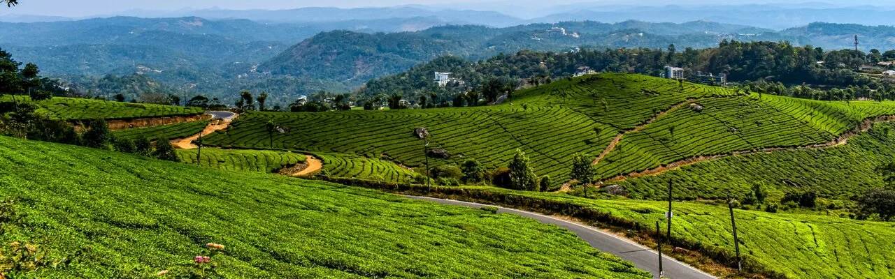 Munnar Honeymoon Trip