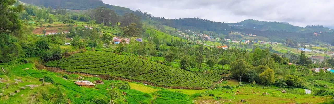 Ooty and Kodaikanal tour package