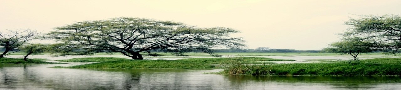 Bharatpur Tour Package From Delhi