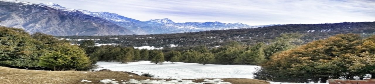 Auli Tour Package From Delhi