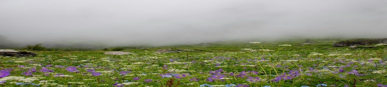 Valley of Flowers Tour Package From Haridwar