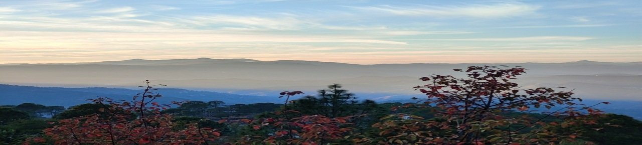 Ranikhet Tour Package From Delhi