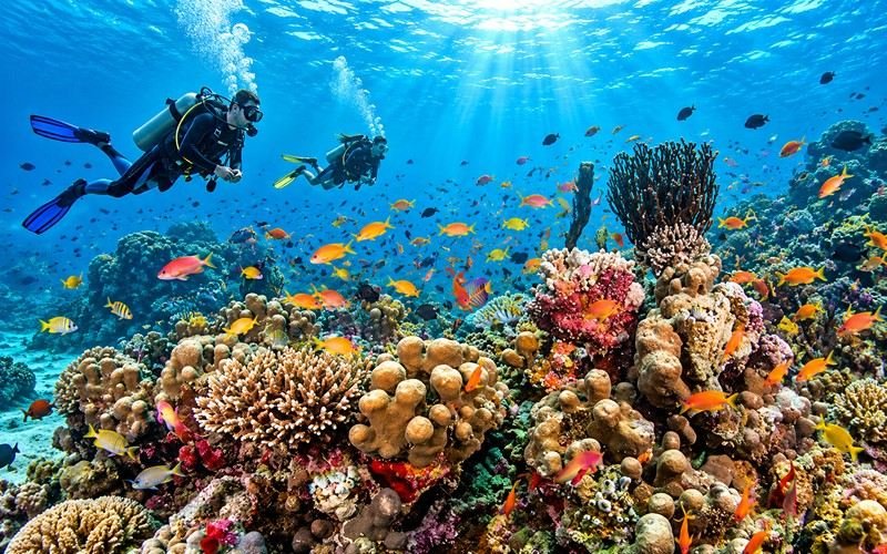 Lakshadweep tour package from Kochi
