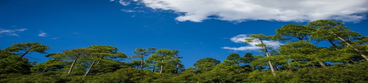 Almora Binsar Tour Package From Delhi