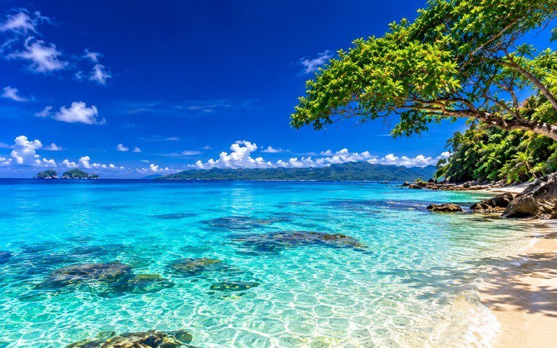 Andaman tour package from Kerala