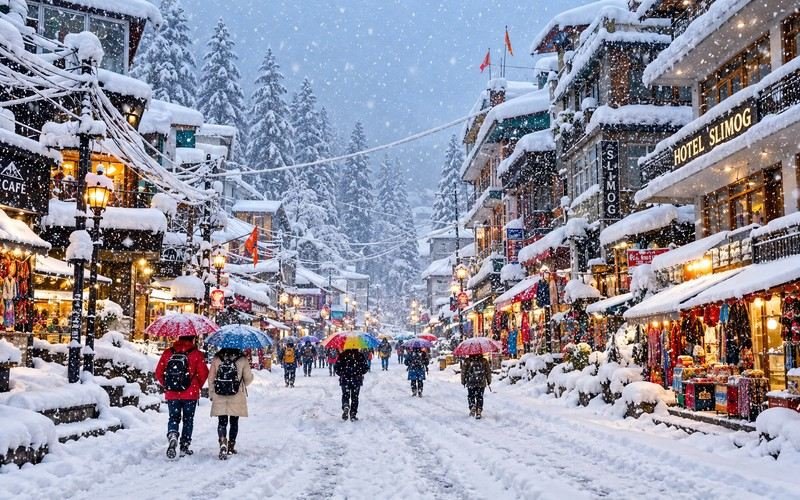 Manali Tour Package From Bangalore