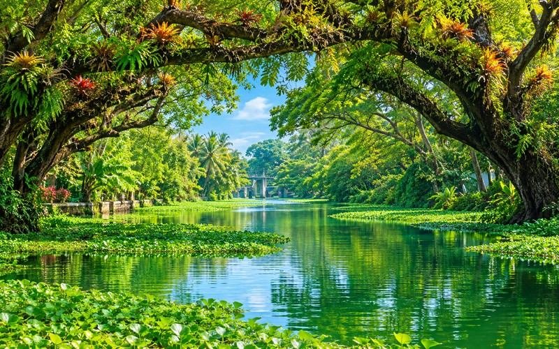 Kerala tour packages from Chennai