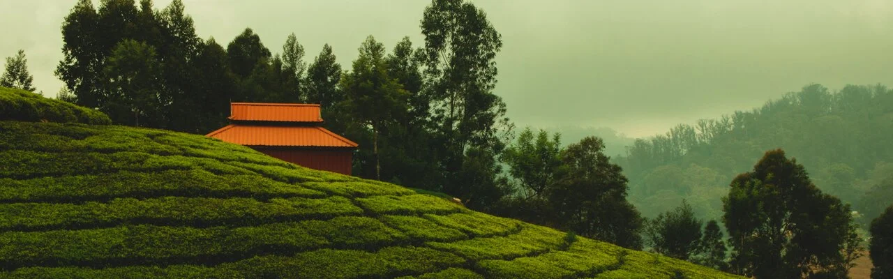 Ooty Honeymoon Package